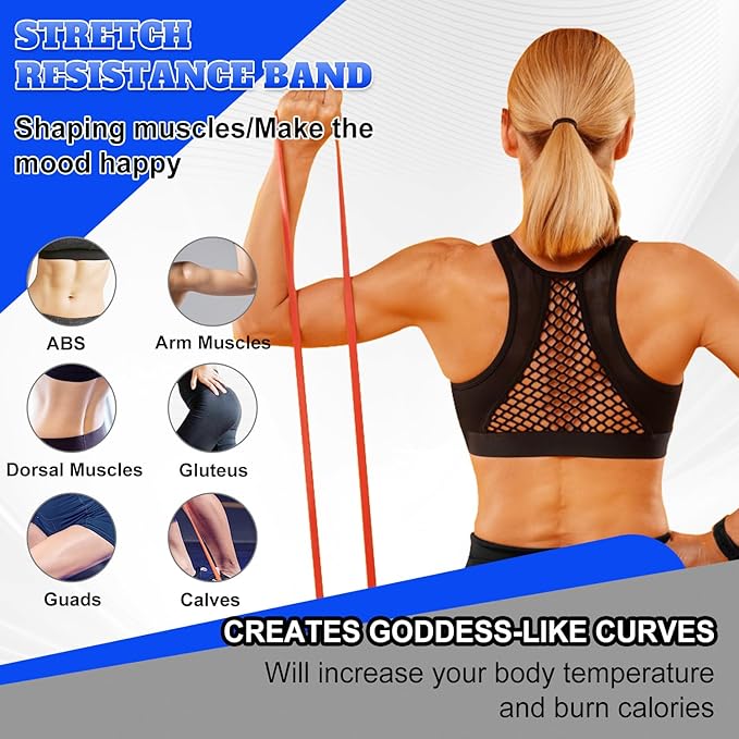 Resistance Bands Set for Men & Women - 4 Levels Exercise Band with Door Anchor, Pull Up Bands for Strength Training, Stretching, Powerlifting, Home Workouts