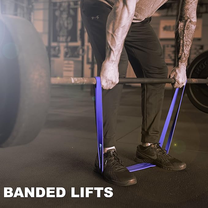 WODFitters Pull Up Assistance Band for Stretching, Mobility Workouts, Warm Up, Recovery, Powerlifting, Home Fitness and Exercise…
